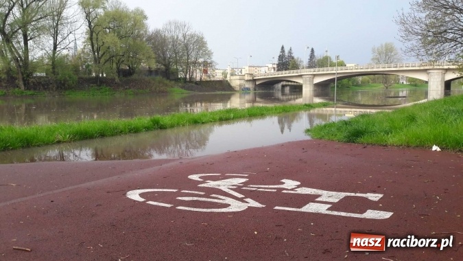 Zdjęcie w galerii na portalu naszraciborz.pl: Poziom Odry w Chałupkach opada. Zagrożenie mija  wiadomości z regionu