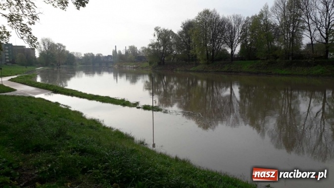 Zdjęcie w galerii na portalu naszraciborz.pl: Poziom Odry w Chałupkach opada. Zagrożenie mija  wiadomości z regionu
