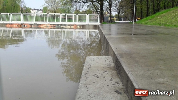 Zdjęcie w galerii na portalu naszraciborz.pl: Poziom Odry w Chałupkach opada. Zagrożenie mija  wiadomości z regionu