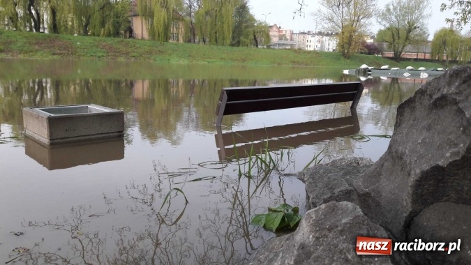 Zdjęcie w galerii na portalu naszraciborz.pl: Poziom Odry w Chałupkach opada. Zagrożenie mija  wiadomości z regionu