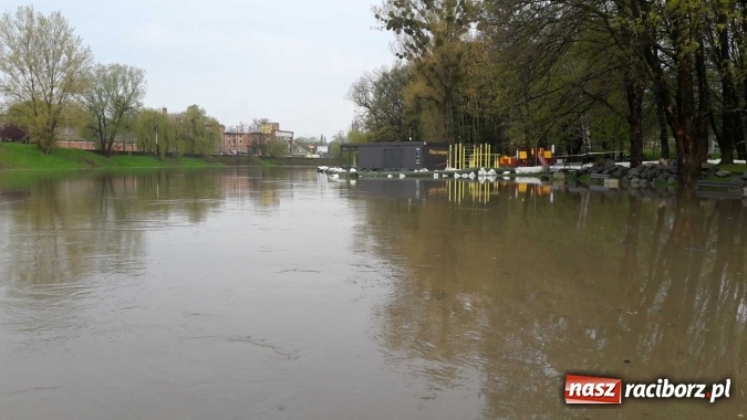 Zdjęcie w galerii na portalu naszraciborz.pl: Poziom Odry w Chałupkach opada. Zagrożenie mija  wiadomości z regionu