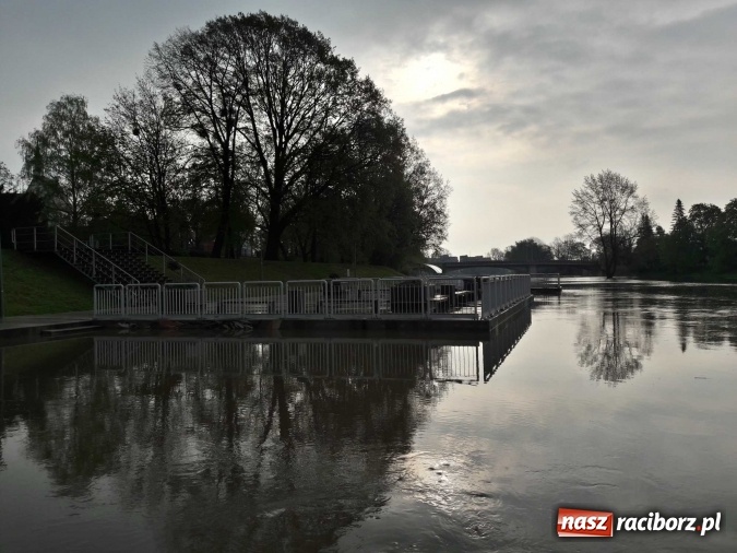 Zdjęcie w galerii na portalu naszraciborz.pl: Poziom Odry w Chałupkach opada. Zagrożenie mija  wiadomości z regionu