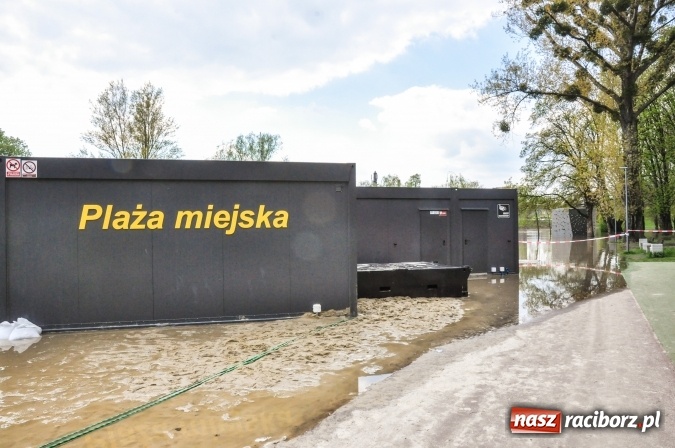 Zdjęcie w galerii na portalu naszraciborz.pl: Odra, niestety, wdarła się na plażę miejską w parku Zamkowym wiadomości z regionu