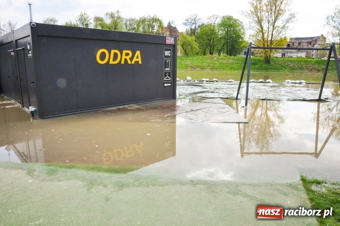 Zdjęcie w galerii na portalu naszraciborz.pl: Odra, niestety, wdarła się na plażę miejską w parku Zamkowym wiadomości z regionu