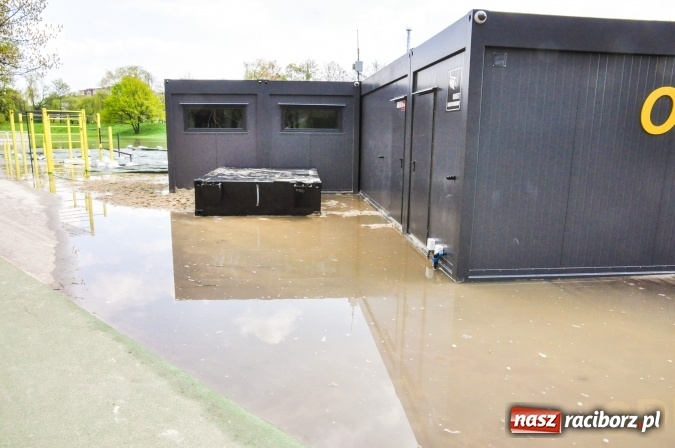 Zdjęcie w galerii na portalu naszraciborz.pl: Odra, niestety, wdarła się na plażę miejską w parku Zamkowym wiadomości z regionu