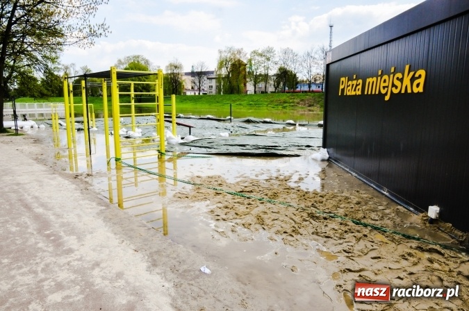 Zdjęcie w galerii na portalu naszraciborz.pl: Odra, niestety, wdarła się na plażę miejską w parku Zamkowym wiadomości z regionu