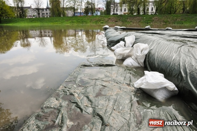 Zdjęcie w galerii na portalu naszraciborz.pl: Odra, niestety, wdarła się na plażę miejską w parku Zamkowym wiadomości z regionu