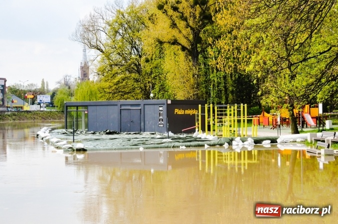 Zdjęcie w galerii na portalu naszraciborz.pl: Odra, niestety, wdarła się na plażę miejską w parku Zamkowym wiadomości z regionu