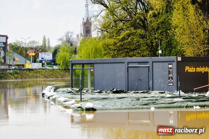 Zdjęcie w galerii na portalu naszraciborz.pl: Odra, niestety, wdarła się na plażę miejską w parku Zamkowym wiadomości z regionu