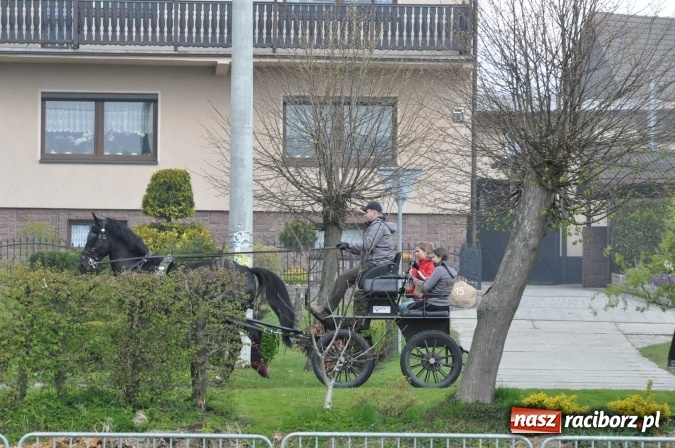 Zdjęcie w galerii na portalu naszraciborz.pl: W Kornicach trwają zawody zaprzęgowe połączone z majówką konną wiadomości z regionu