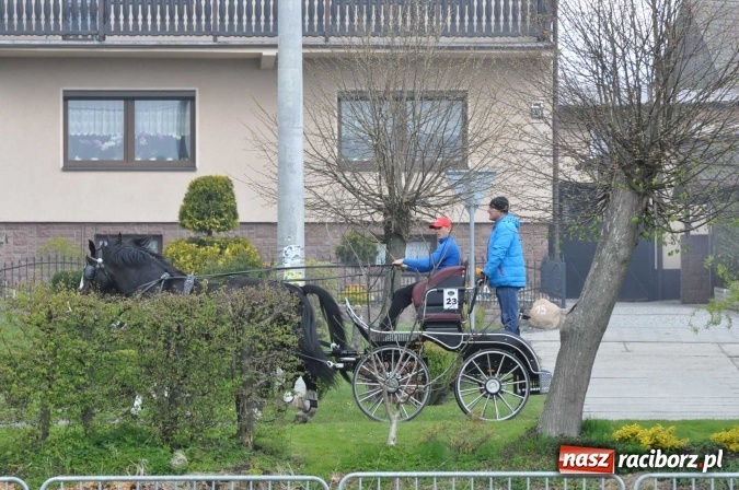 Zdjęcie w galerii na portalu naszraciborz.pl: W Kornicach trwają zawody zaprzęgowe połączone z majówką konną wiadomości z regionu