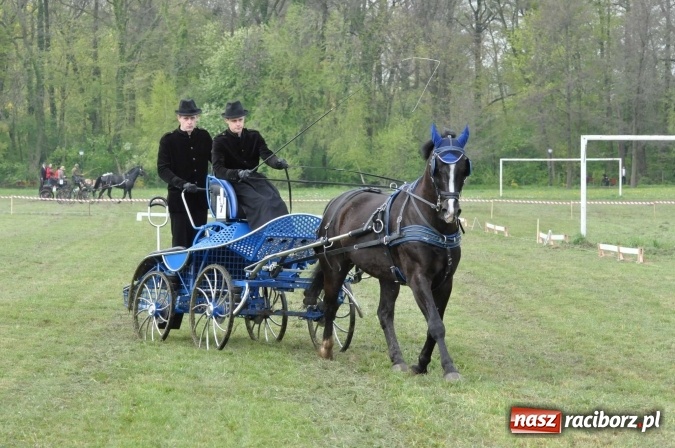 Zdjęcie w galerii na portalu naszraciborz.pl: W Kornicach trwają zawody zaprzęgowe połączone z majówką konną wiadomości z regionu