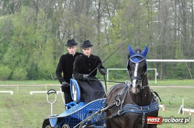 Zdjęcie w galerii na portalu naszraciborz.pl: W Kornicach trwają zawody zaprzęgowe połączone z majówką konną wiadomości z regionu