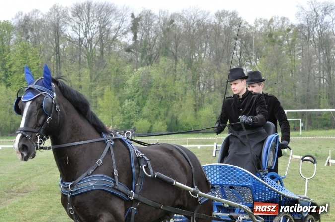 Zdjęcie w galerii na portalu naszraciborz.pl: W Kornicach trwają zawody zaprzęgowe połączone z majówką konną wiadomości z regionu