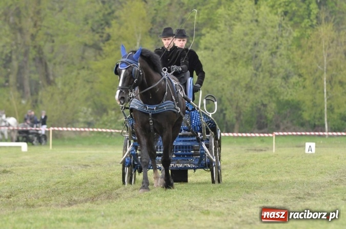Zdjęcie w galerii na portalu naszraciborz.pl: W Kornicach trwają zawody zaprzęgowe połączone z majówką konną wiadomości z regionu