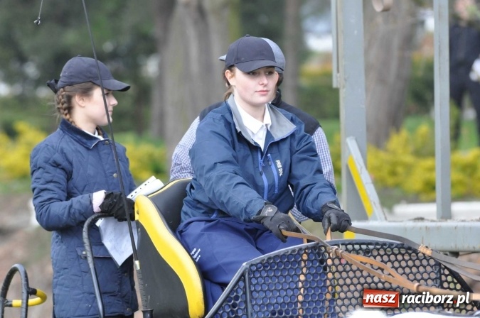 Zdjęcie w galerii na portalu naszraciborz.pl: W Kornicach trwają zawody zaprzęgowe połączone z majówką konną wiadomości z regionu