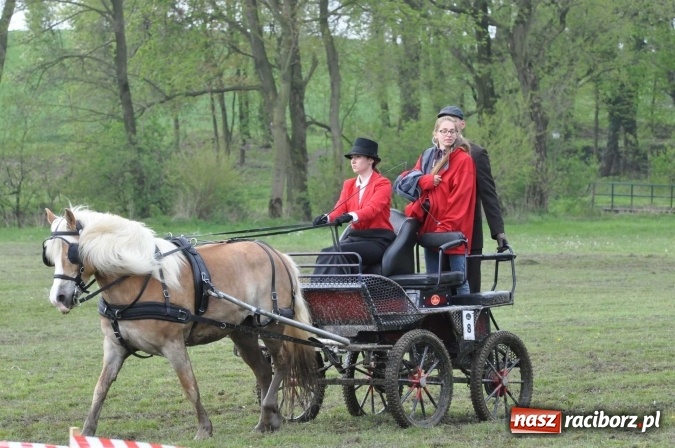 Zdjęcie w galerii na portalu naszraciborz.pl: W Kornicach trwają zawody zaprzęgowe połączone z majówką konną wiadomości z regionu