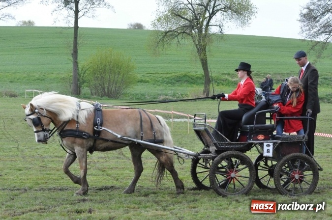Zdjęcie w galerii na portalu naszraciborz.pl: W Kornicach trwają zawody zaprzęgowe połączone z majówką konną wiadomości z regionu