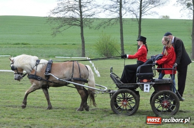 Zdjęcie w galerii na portalu naszraciborz.pl: W Kornicach trwają zawody zaprzęgowe połączone z majówką konną wiadomości z regionu
