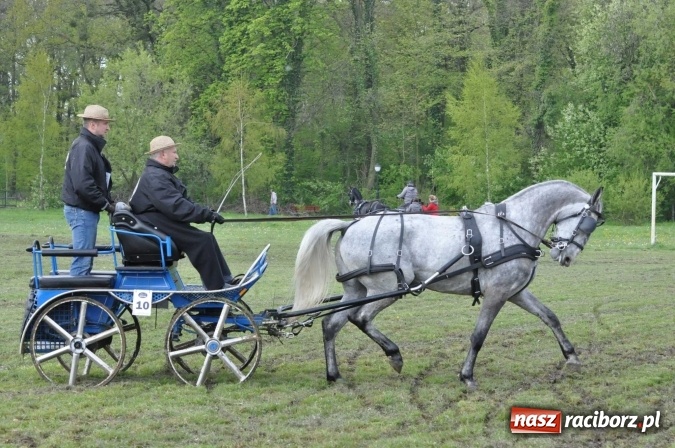Zdjęcie w galerii na portalu naszraciborz.pl: W Kornicach trwają zawody zaprzęgowe połączone z majówką konną wiadomości z regionu