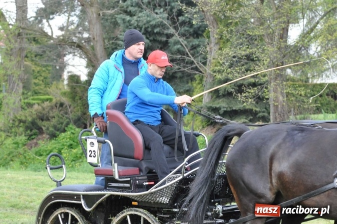 Zdjęcie w galerii na portalu naszraciborz.pl: W Kornicach trwają zawody zaprzęgowe połączone z majówką konną wiadomości z regionu