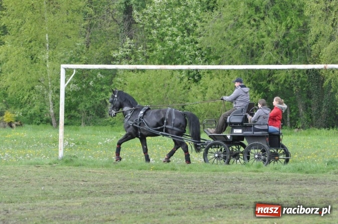 Zdjęcie w galerii na portalu naszraciborz.pl: W Kornicach trwają zawody zaprzęgowe połączone z majówką konną wiadomości z regionu