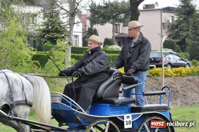 Zdjęcie w galerii na portalu naszraciborz.pl: W Kornicach trwają zawody zaprzęgowe połączone z majówką konną wiadomości z regionu