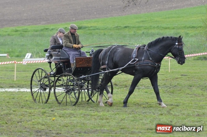 Zdjęcie w galerii na portalu naszraciborz.pl: W Kornicach trwają zawody zaprzęgowe połączone z majówką konną wiadomości z regionu