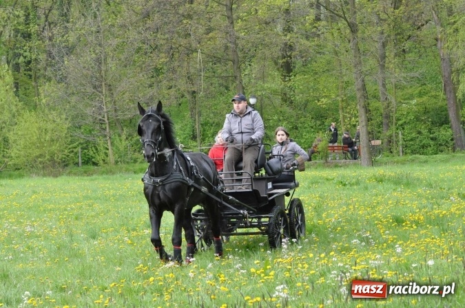 Zdjęcie w galerii na portalu naszraciborz.pl: W Kornicach trwają zawody zaprzęgowe połączone z majówką konną wiadomości z regionu