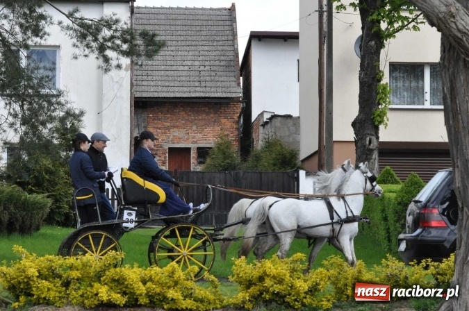 Zdjęcie w galerii na portalu naszraciborz.pl: W Kornicach trwają zawody zaprzęgowe połączone z majówką konną wiadomości z regionu