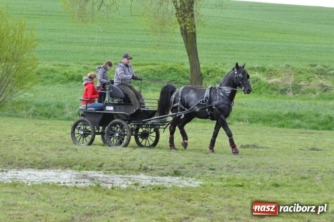 Zdjęcie w galerii na portalu naszraciborz.pl: W Kornicach trwają zawody zaprzęgowe połączone z majówką konną wiadomości z regionu