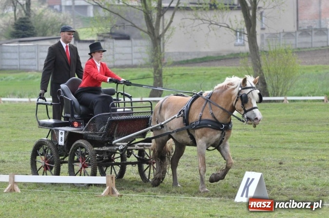 Zdjęcie w galerii na portalu naszraciborz.pl: W Kornicach trwają zawody zaprzęgowe połączone z majówką konną wiadomości z regionu
