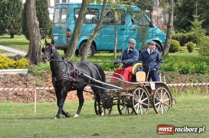 Zdjęcie w galerii na portalu naszraciborz.pl: W Kornicach trwają zawody zaprzęgowe połączone z majówką konną wiadomości z regionu