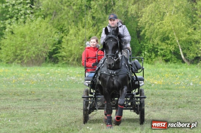 Zdjęcie w galerii na portalu naszraciborz.pl: W Kornicach trwają zawody zaprzęgowe połączone z majówką konną wiadomości z regionu