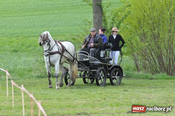 Zdjęcie w galerii na portalu naszraciborz.pl: W Kornicach trwają zawody zaprzęgowe połączone z majówką konną wiadomości z regionu
