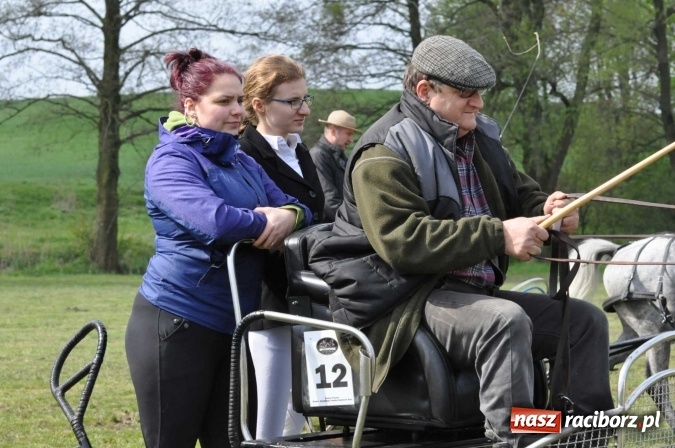Zdjęcie w galerii na portalu naszraciborz.pl: W Kornicach trwają zawody zaprzęgowe połączone z majówką konną wiadomości z regionu