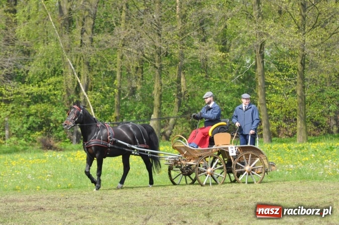 Zdjęcie w galerii na portalu naszraciborz.pl: W Kornicach trwają zawody zaprzęgowe połączone z majówką konną wiadomości z regionu