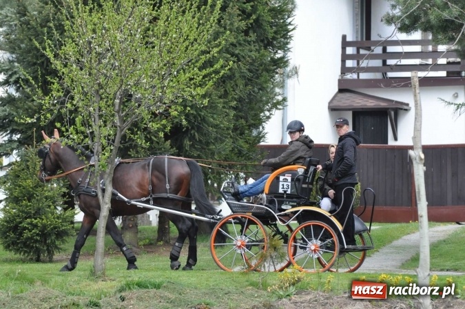 Zdjęcie w galerii na portalu naszraciborz.pl: W Kornicach trwają zawody zaprzęgowe połączone z majówką konną wiadomości z regionu