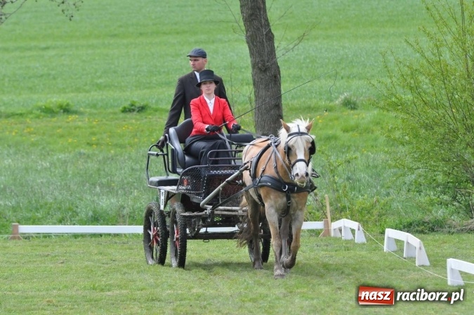 Zdjęcie w galerii na portalu naszraciborz.pl: W Kornicach trwają zawody zaprzęgowe połączone z majówką konną wiadomości z regionu