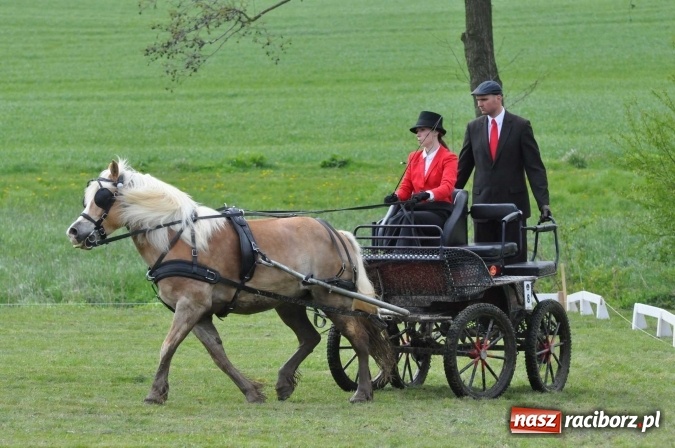 Zdjęcie w galerii na portalu naszraciborz.pl: W Kornicach trwają zawody zaprzęgowe połączone z majówką konną wiadomości z regionu