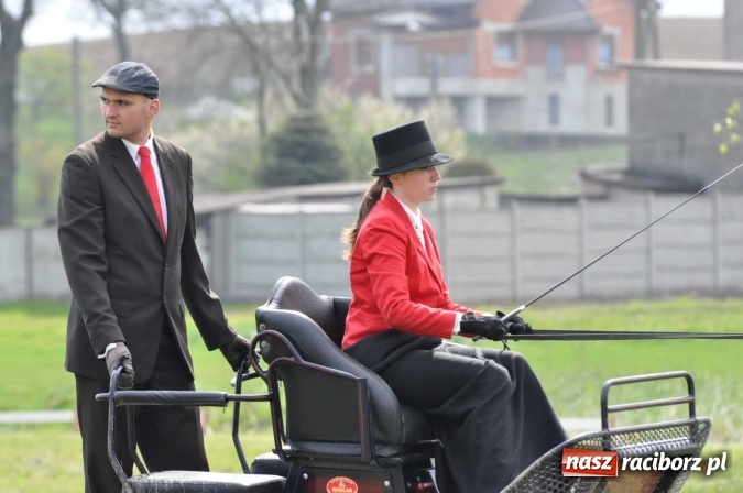 Zdjęcie w galerii na portalu naszraciborz.pl: W Kornicach trwają zawody zaprzęgowe połączone z majówką konną wiadomości z regionu
