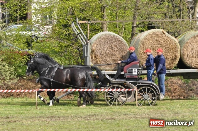 Zdjęcie w galerii na portalu naszraciborz.pl: W Kornicach trwają zawody zaprzęgowe połączone z majówką konną wiadomości z regionu