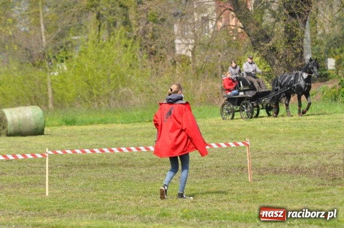 Zdjęcie w galerii na portalu naszraciborz.pl: W Kornicach trwają zawody zaprzęgowe połączone z majówką konną wiadomości z regionu