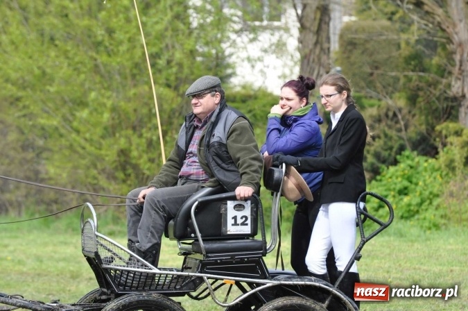 Zdjęcie w galerii na portalu naszraciborz.pl: W Kornicach trwają zawody zaprzęgowe połączone z majówką konną wiadomości z regionu