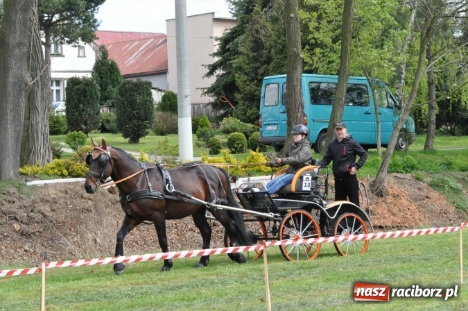 Zdjęcie w galerii na portalu naszraciborz.pl: W Kornicach trwają zawody zaprzęgowe połączone z majówką konną wiadomości z regionu