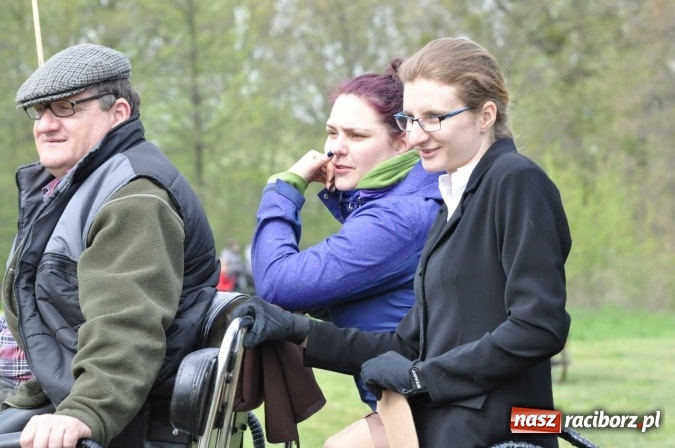 Zdjęcie w galerii na portalu naszraciborz.pl: W Kornicach trwają zawody zaprzęgowe połączone z majówką konną wiadomości z regionu