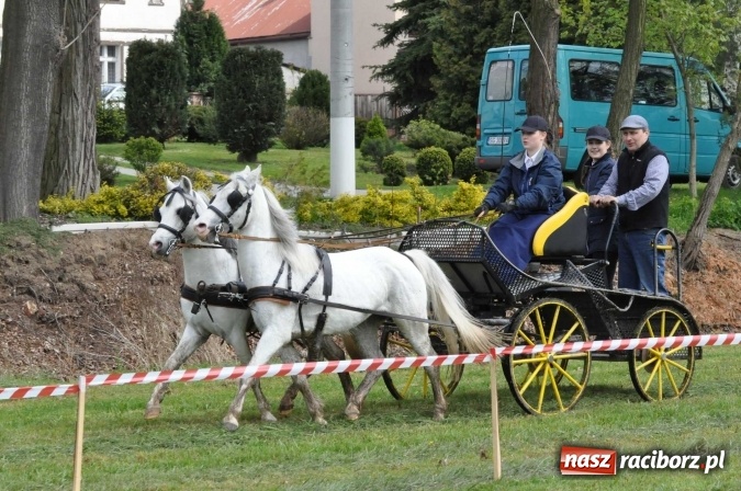 Zdjęcie w galerii na portalu naszraciborz.pl: W Kornicach trwają zawody zaprzęgowe połączone z majówką konną wiadomości z regionu
