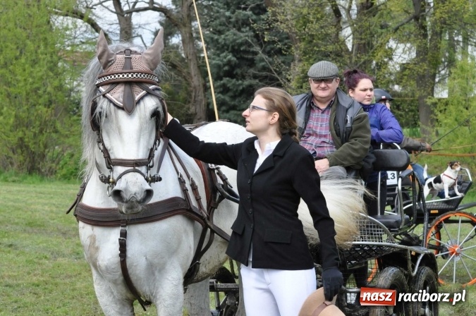 Zdjęcie w galerii na portalu naszraciborz.pl: W Kornicach trwają zawody zaprzęgowe połączone z majówką konną wiadomości z regionu
