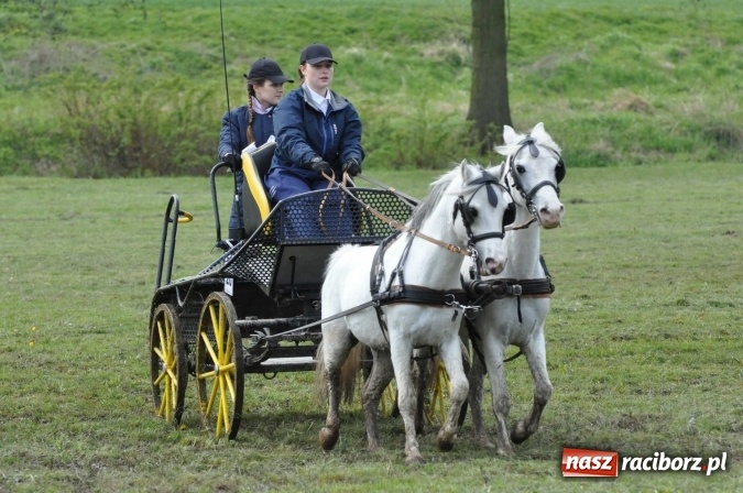 Zdjęcie w galerii na portalu naszraciborz.pl: W Kornicach trwają zawody zaprzęgowe połączone z majówką konną wiadomości z regionu