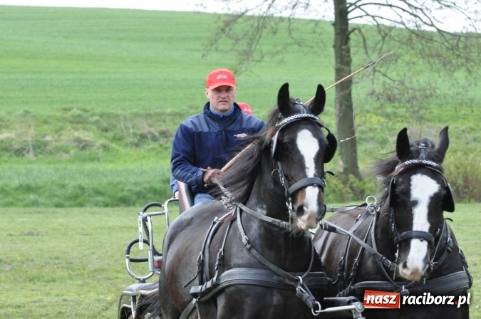 Zdjęcie w galerii na portalu naszraciborz.pl: W Kornicach trwają zawody zaprzęgowe połączone z majówką konną wiadomości z regionu